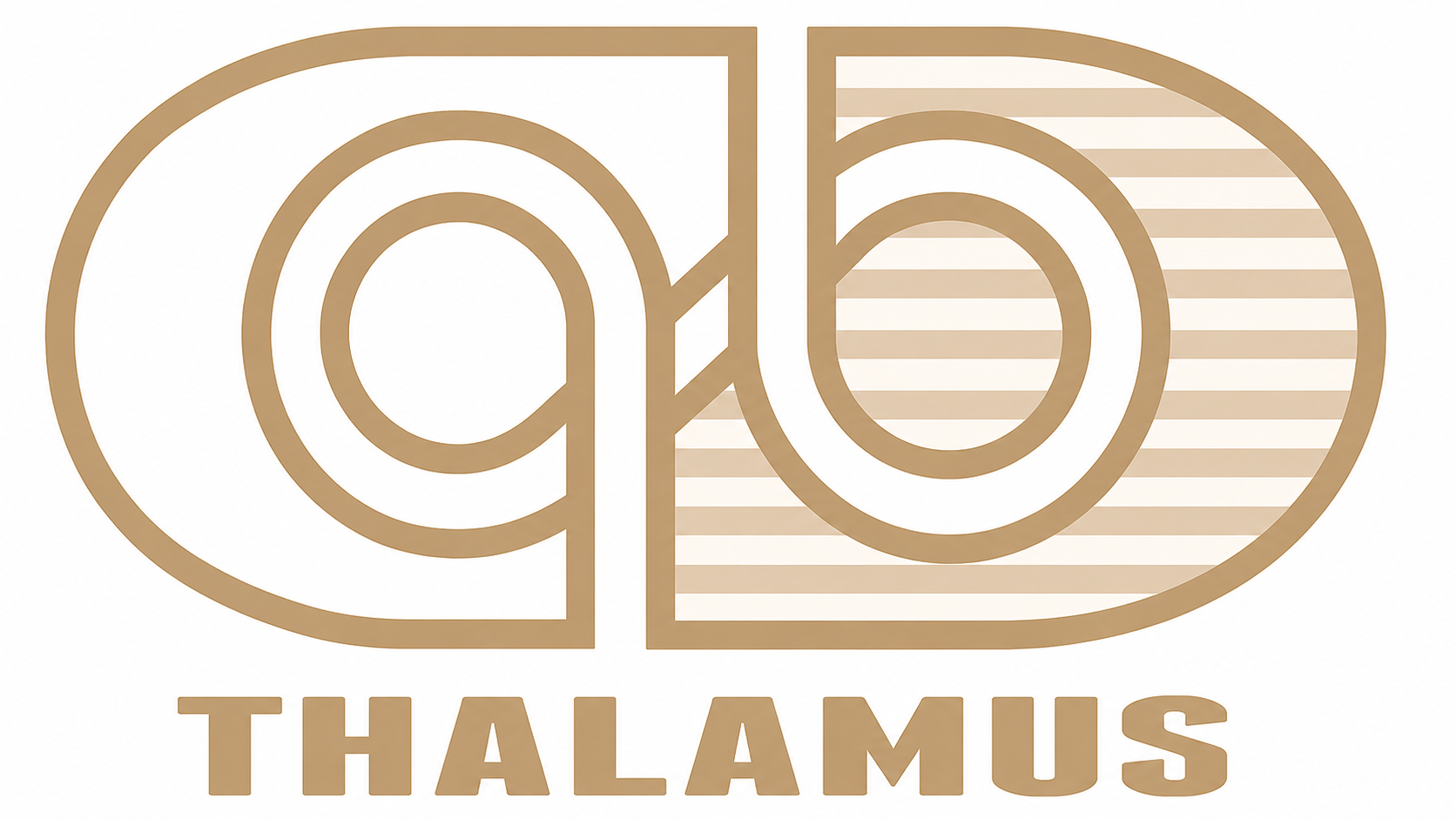 THALAMUS CAT